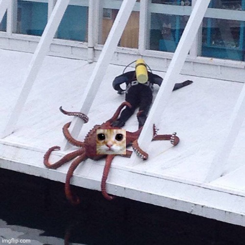 octopus | image tagged in octopus | made w/ Imgflip meme maker