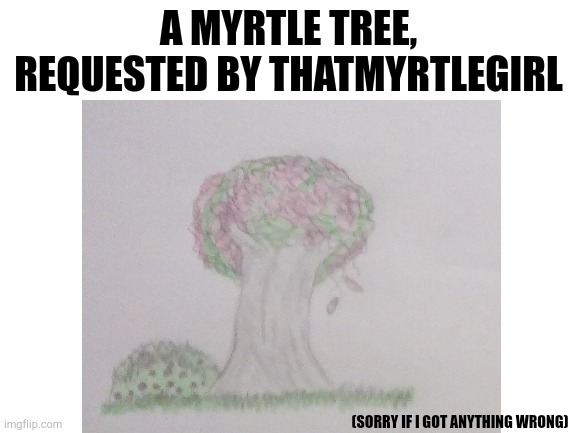 Sorry it took forever- | A MYRTLE TREE, REQUESTED BY THATMYRTLEGIRL; (SORRY IF I GOT ANYTHING WRONG) | image tagged in congrats you read the tags,you still reading tags,why you still reading tags | made w/ Imgflip meme maker