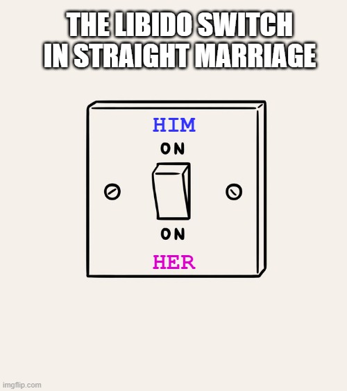 Str8 Marriage Switch | THE LIBIDO SWITCH IN STRAIGHT MARRIAGE; HIM; HER | image tagged in switch on/on | made w/ Imgflip meme maker
