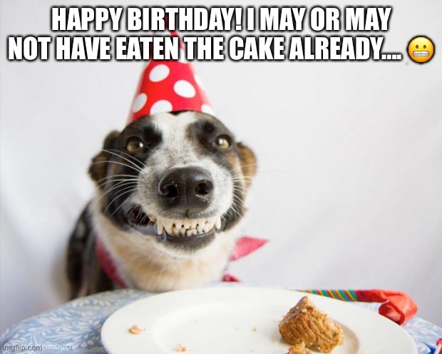 birthday dog | HAPPY BIRTHDAY! I MAY OR MAY NOT HAVE EATEN THE CAKE ALREADY…. ? | image tagged in birthday dog | made w/ Imgflip meme maker