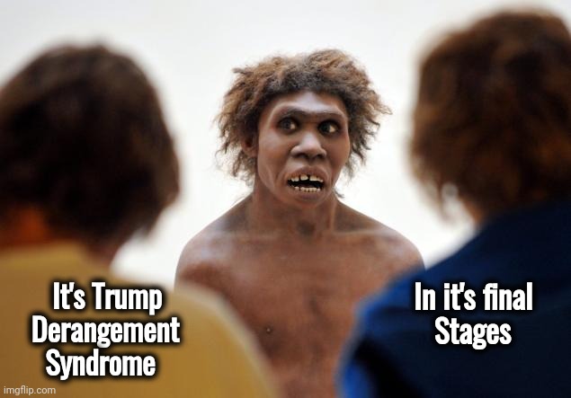 When it all slips away |  In it's final   
Stages; It's Trump
  Derangement 
    Syndrome | image tagged in trump derangement syndrome,disease,tragedy,stop it get some help,vaccines,well yes but actually no | made w/ Imgflip meme maker