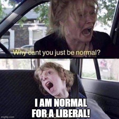 Well . . . yes. | I AM NORMAL FOR A LIBERAL! | image tagged in why can't you just be normal | made w/ Imgflip meme maker