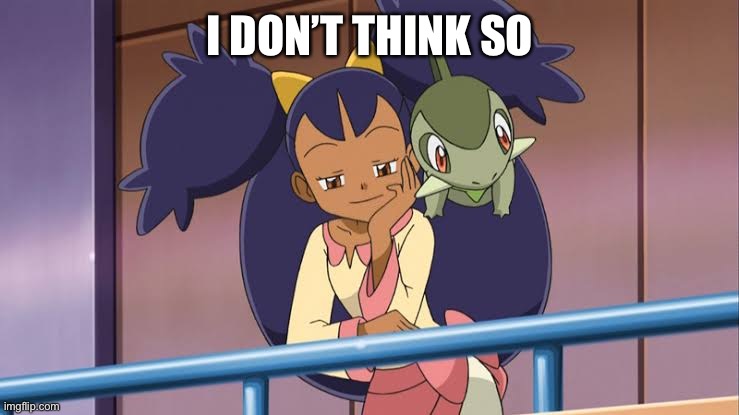Iris Pokemon | I DON’T THINK SO | image tagged in iris pokemon | made w/ Imgflip meme maker
