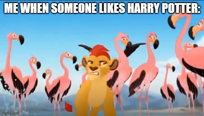 Garbage | ME WHEN SOMEONE LIKES HARRY POTTER: | image tagged in garbage | made w/ Imgflip meme maker