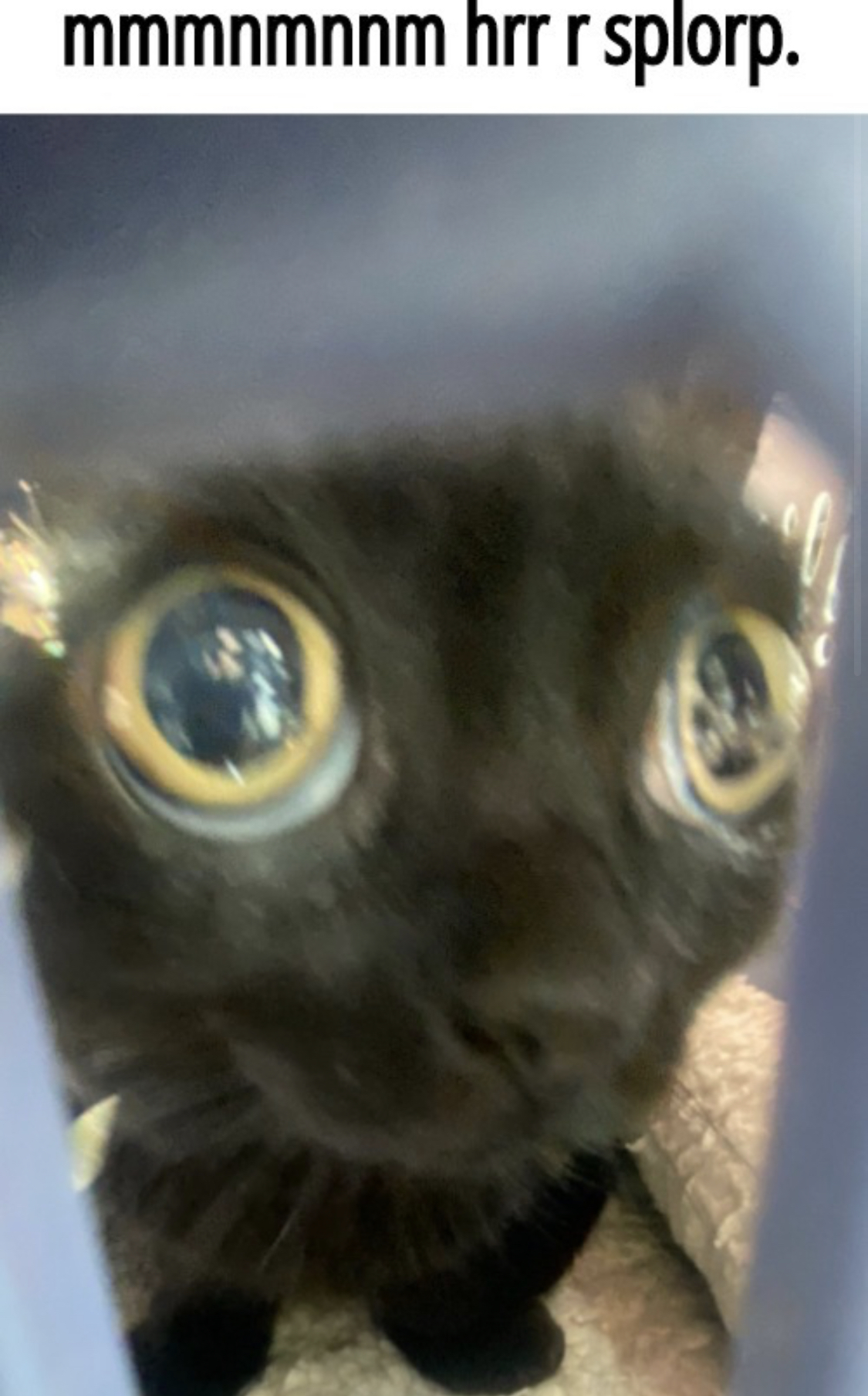 Mmmnmnnm hrr r splorp Blank Meme Template