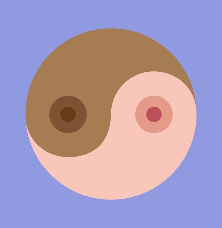 High Quality yin n yan Blank Meme Template