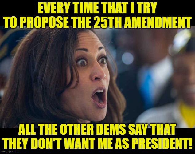 kamala harriss | EVERY TIME THAT I TRY TO PROPOSE THE 25TH AMENDMENT ALL THE OTHER DEMS SAY THAT THEY DON'T WANT ME AS PRESIDENT! | image tagged in kamala harriss | made w/ Imgflip meme maker