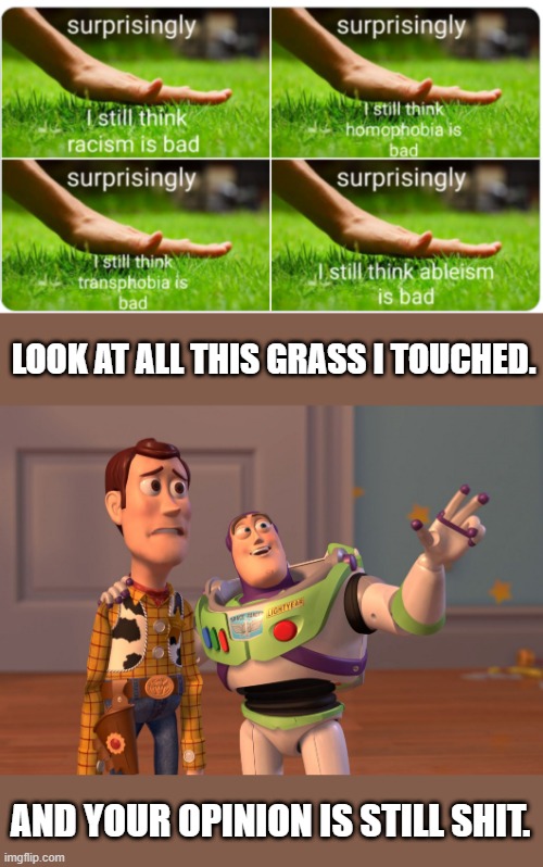Feel free to re-use this. | LOOK AT ALL THIS GRASS I TOUCHED. AND YOUR OPINION IS STILL SHIT. | image tagged in memes,x x everywhere,touch grass,homophobia,racism,ableism | made w/ Imgflip meme maker