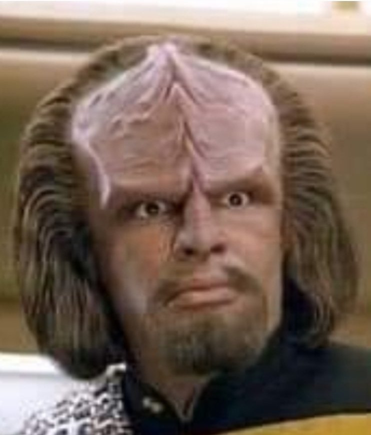 High Quality Worf, Son of Mogh Blank Meme Template