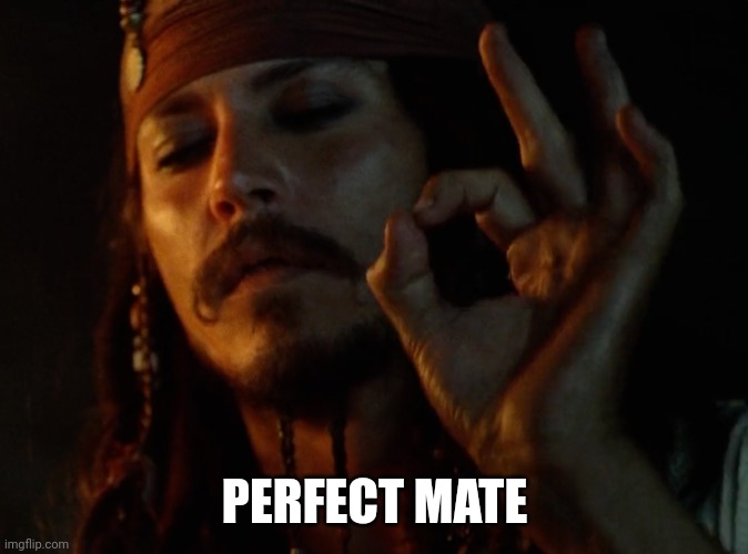 JACK PERFECT | PERFECT MATE | image tagged in jack perfect | made w/ Imgflip meme maker