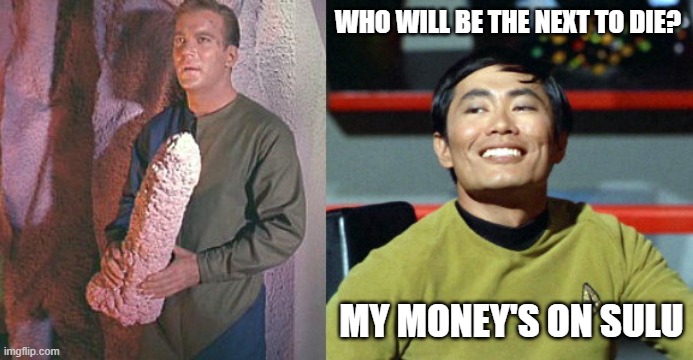 Kirk and Sulu | WHO WILL BE THE NEXT TO DIE? MY MONEY'S ON SULU | image tagged in kirk and sulu | made w/ Imgflip meme maker