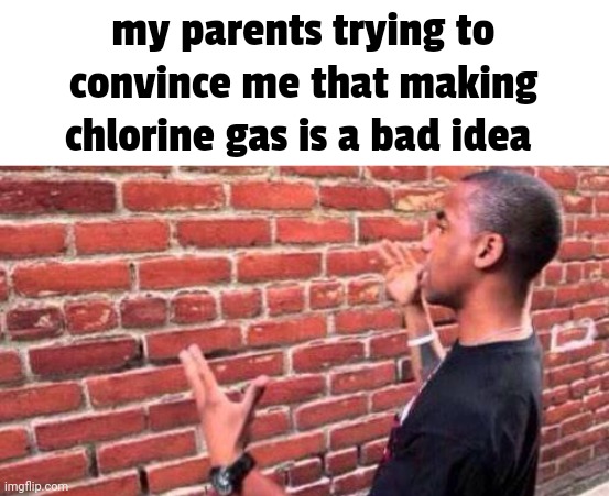title. | my parents trying to convince me that making chlorine gas is a bad idea | image tagged in brick wall | made w/ Imgflip meme maker