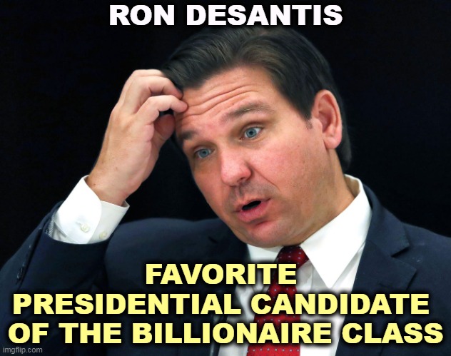 Ron DeSantis searching for his brain | RON DESANTIS; FAVORITE 
PRESIDENTIAL CANDIDATE 
OF THE BILLIONAIRE CLASS | image tagged in ron desantis searching for his brain,ron desantis,pet,billionaire,class | made w/ Imgflip meme maker