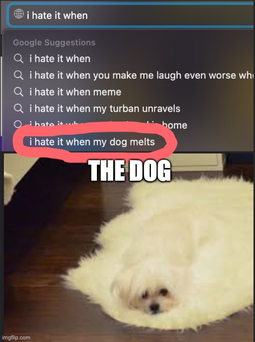 Lol | THE DOG | image tagged in i hate it when,dog | made w/ Imgflip meme maker
