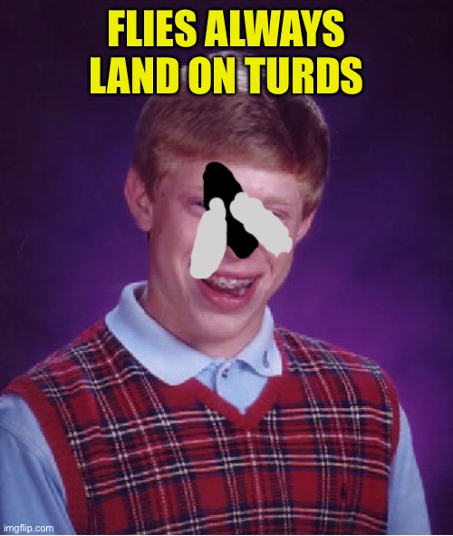 Bad Luck Brian Meme | FLIES ALWAYS LAND ON TURDS | image tagged in memes,bad luck brian | made w/ Imgflip meme maker