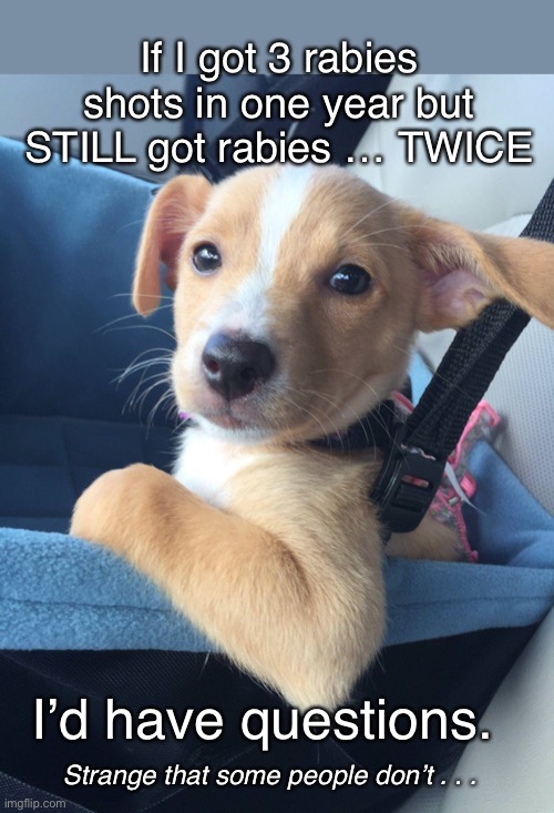 But some people trust everything a government paid “scientist” says … | If I got 3 rabies shots in one year but STILL got rabies … TWICE; I’d have questions. Strange that some people don’t . . . | image tagged in smart dog,vaccines | made w/ Imgflip meme maker
