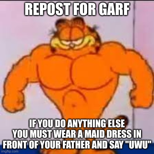 Buff garfield | REPOST FOR GARF; IF YOU DO ANYTHING ELSE
YOU MUST WEAR A MAID DRESS IN FRONT OF YOUR FATHER AND SAY "UWU" | image tagged in buff garfield | made w/ Imgflip meme maker