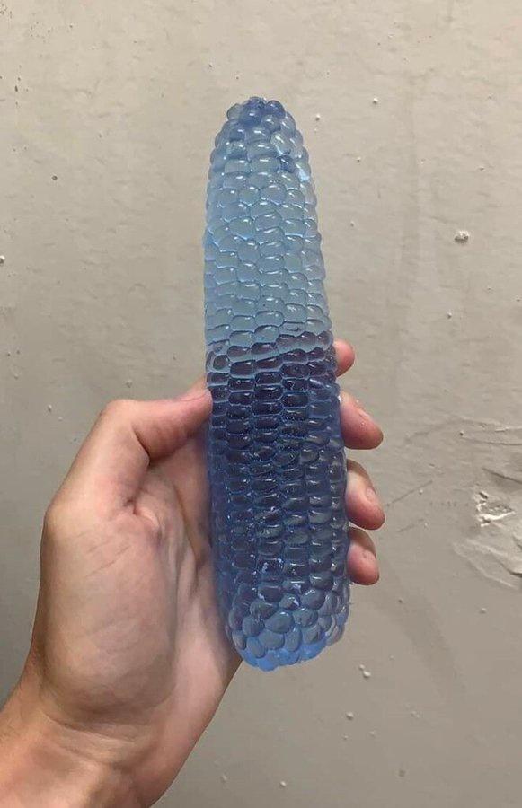 Corn on the cob Blank Meme Template