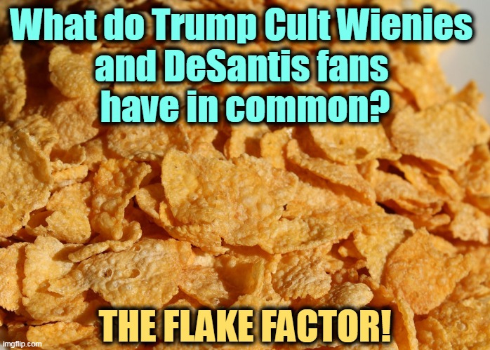 What do Trump Cult Wienies 
and DeSantis fans 
have in common? THE FLAKE FACTOR! | image tagged in trump,cult,desantis,flakes | made w/ Imgflip meme maker