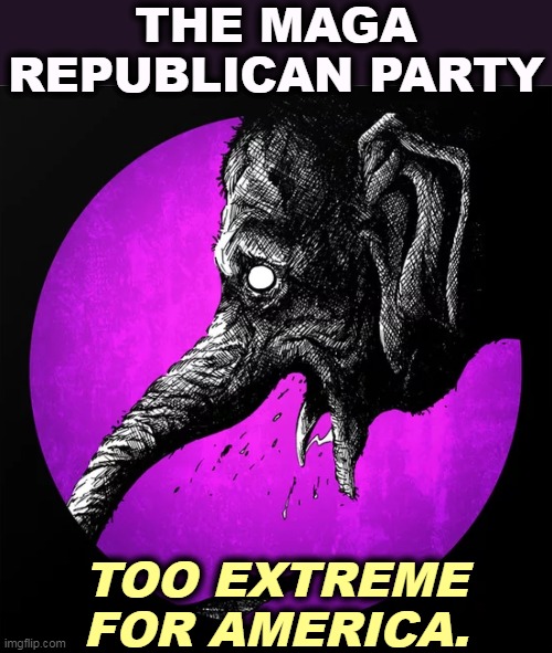 THE MAGA REPUBLICAN PARTY; TOO EXTREME FOR AMERICA. | image tagged in maga,republicans,extreme | made w/ Imgflip meme maker