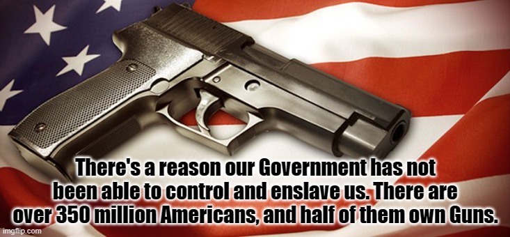 PROUD GUN OWNERS OF AMERICA | There's a reason our Government has not been able to control and enslave us. There are over 350 million Americans, and half of them own Guns. | image tagged in guns,2nd amendment,gun control,freedom,bullets,government | made w/ Imgflip meme maker