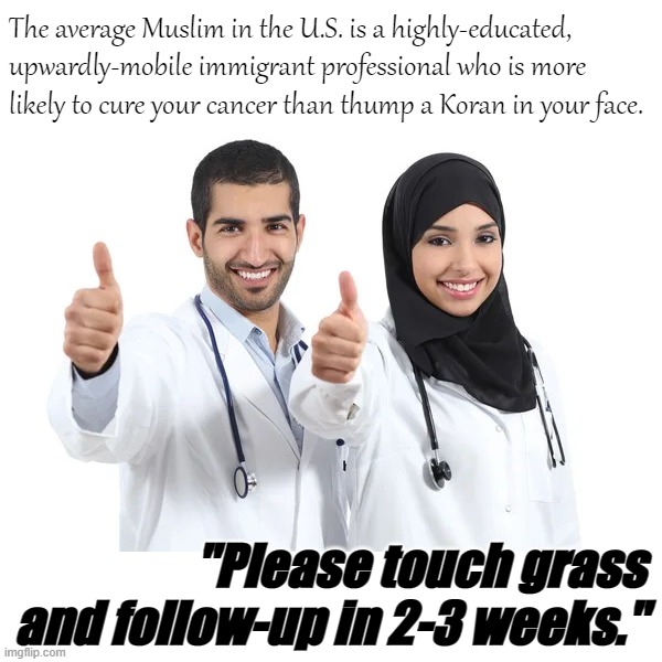 Meanwhile in Reality: Muslim-Americans | The average Muslim in the U.S. is a highly-educated, upwardly-mobile immigrant professional who is more likely to cure your cancer than thump a Koran in your face. "Please touch grass and follow-up in 2-3 weeks." | image tagged in muslim doctors,meanwhile,in,reality,muslim,americans | made w/ Imgflip meme maker