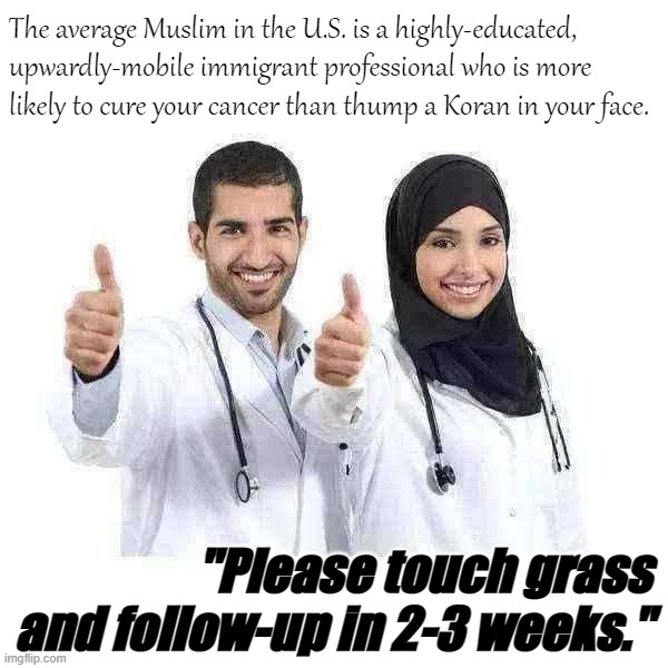 Troll of the Day: Islamophobes | The average Muslim in the U.S. is a highly-educated, upwardly-mobile immigrant professional who is more likely to cure your cancer than thump a Koran in your face. "Please touch grass and follow-up in 2-3 weeks." | image tagged in muslim doctors | made w/ Imgflip meme maker