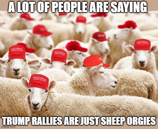 Trump MAGA sheep | A LOT OF PEOPLE ARE SAYING; TRUMP RALLIES ARE JUST SHEEP ORGIES | image tagged in trump maga sheep,politics | made w/ Imgflip meme maker