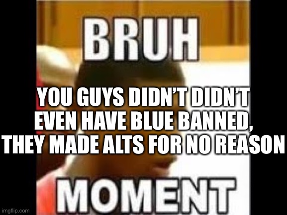 Seriously, they weren’t in the list until I rebanned them | YOU GUYS DIDN’T DIDN’T EVEN HAVE BLUE BANNED, THEY MADE ALTS FOR NO REASON | image tagged in bruh moment | made w/ Imgflip meme maker