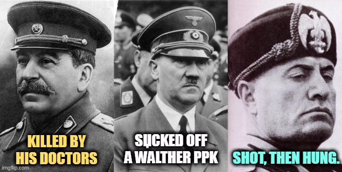 Dictatorship is a terrible business to go into. Do you think Ron DeSantis knows? | SЏCKED OFF A WALTHER PPK; SHOT, THEN HUNG. KILLED BY HIS DOCTORS | image tagged in dictators,stalin,hitler,mussolini,killed,ron desantis | made w/ Imgflip meme maker