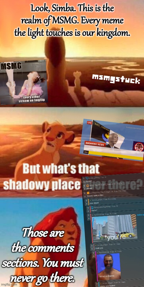 Simba Shadowy Place Meme | Look, Simba. This is the realm of MSMG. Every meme the light touches is our kingdom. Those are the comments sections. You must never go ther | image tagged in memes,simba shadowy place | made w/ Imgflip meme maker
