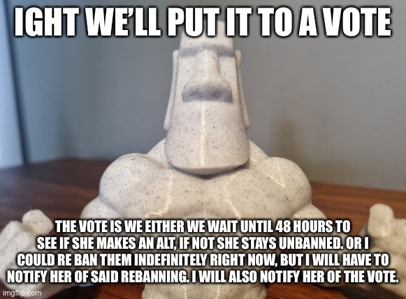 I’m talking about Blue, any other suggestions are welcome. | IGHT WE’LL PUT IT TO A VOTE; THE VOTE IS WE EITHER WE WAIT UNTIL 48 HOURS TO SEE IF SHE MAKES AN ALT, IF NOT SHE STAYS UNBANNED. OR I COULD RE BAN THEM INDEFINITELY RIGHT NOW, BUT I WILL HAVE TO NOTIFY HER OF SAID REBANNING. I WILL ALSO NOTIFY HER OF THE VOTE. | made w/ Imgflip meme maker