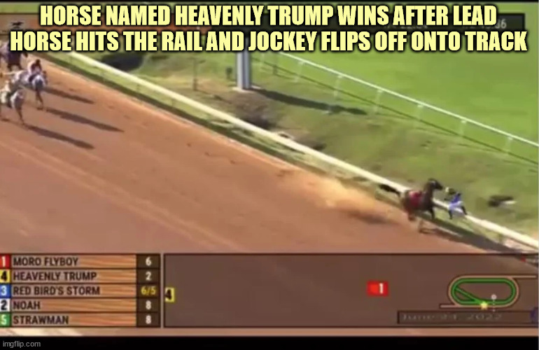 Signs... signs... everywhere signs... | HORSE NAMED HEAVENLY TRUMP WINS AFTER LEAD HORSE HITS THE RAIL AND JOCKEY FLIPS OFF ONTO TRACK | image tagged in signs | made w/ Imgflip meme maker