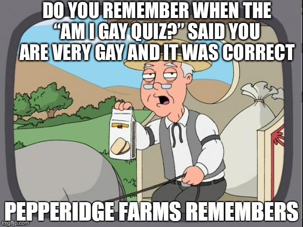 Pepperidge farm remembers your homosexuality >:)?️‍? | DO YOU REMEMBER WHEN THE “AM I GAY QUIZ?” SAID YOU ARE VERY GAY AND IT WAS CORRECT | image tagged in pepperidge farms remembers,homosexuality | made w/ Imgflip meme maker