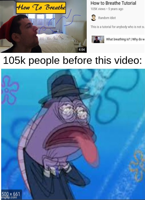Why do these videos exist | 105k people before this video: | image tagged in blank white template | made w/ Imgflip meme maker