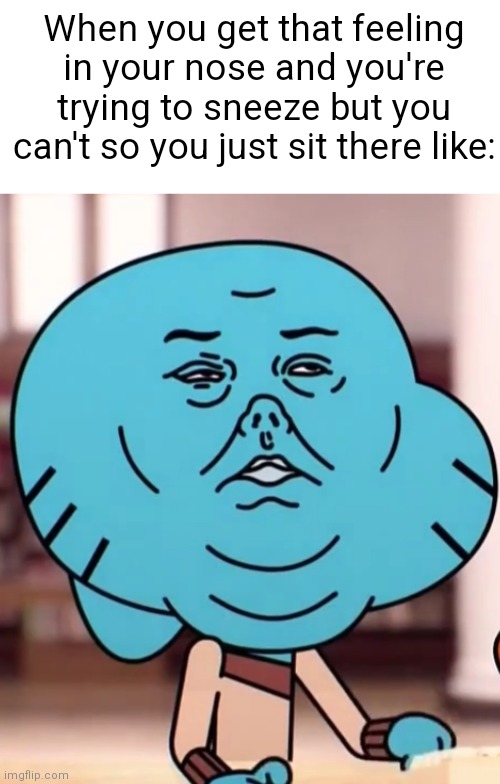 rip | When you get that feeling in your nose and you're trying to sneeze but you can't so you just sit there like: | image tagged in blank white template,sneeze,sneezing,relateable | made w/ Imgflip meme maker