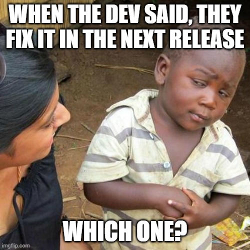 Third World Skeptical Kid Meme | WHEN THE DEV SAID, THEY FIX IT IN THE NEXT RELEASE; WHICH ONE? | image tagged in memes,third world skeptical kid | made w/ Imgflip meme maker