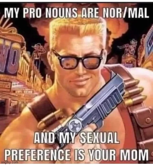 NORMAL / YOUR MOM | image tagged in normal,your mom,funny memes,transgender humor | made w/ Imgflip meme maker