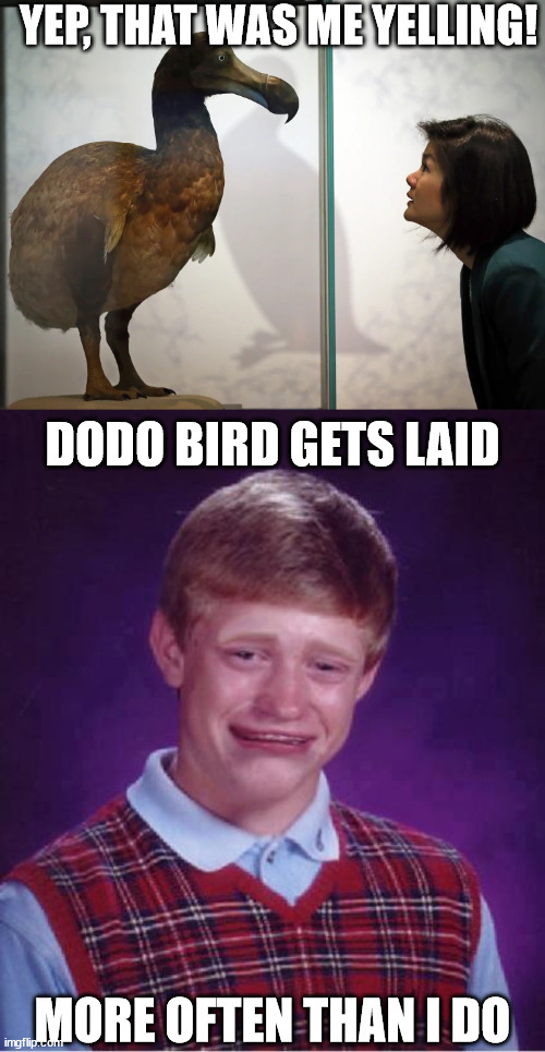 YEP, THAT WAS ME YELLING! DODO BIRD GETS LAID MORE OFTEN THAN I DO | made w/ Imgflip meme maker