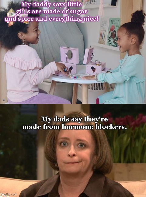 Debbie Downer | My daddy says little girls are made of sugar and spice and everything nice! My dads say they're made from hormone blockers. | image tagged in two little girls with ballet music boxes,debbie downer,snl,transgender,lgbtq,political humor | made w/ Imgflip meme maker