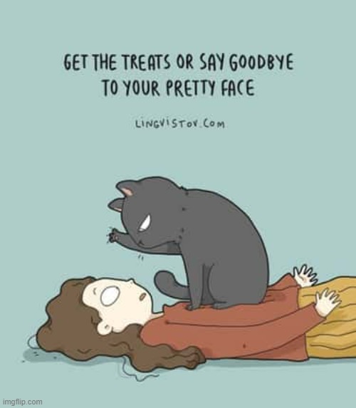 A Cat's way Of Thinking | image tagged in memes,comics,cats,treats,or is it,your face when | made w/ Imgflip meme maker