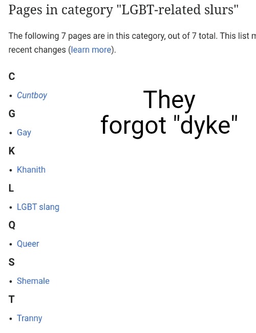 They forgot "dyke" | made w/ Imgflip meme maker