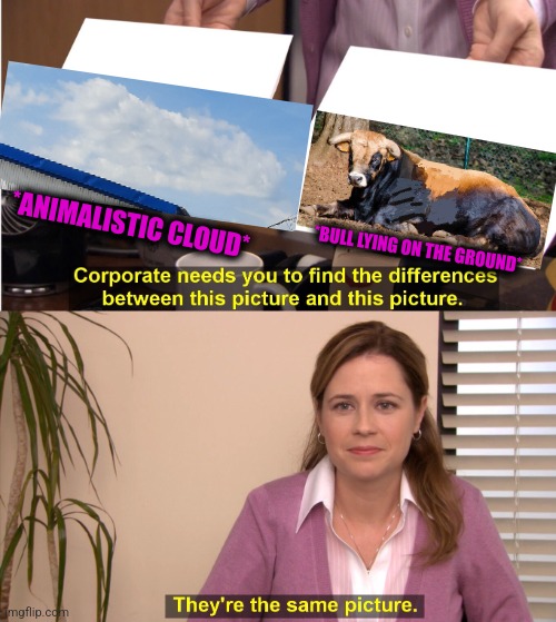 -Bully bull. |  *ANIMALISTIC CLOUD*; *BULL LYING ON THE GROUND* | image tagged in memes,they're the same picture,bull,playground,pepperidge farm remembers,funny animals | made w/ Imgflip meme maker