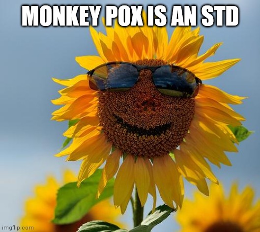 Sunshiny Day! |  MONKEY POX IS AN STD | image tagged in cool sunflower,nothing to fear,big pharma,manipulated,free stuff,control | made w/ Imgflip meme maker