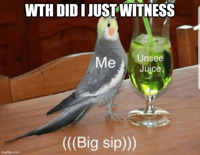 Unsee juice | WTH DID I JUST WITNESS | image tagged in unsee juice | made w/ Imgflip meme maker
