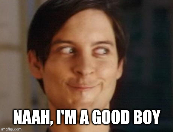 Spiderman Peter Parker Meme | NAAH, I'M A GOOD BOY | image tagged in memes,spiderman peter parker | made w/ Imgflip meme maker