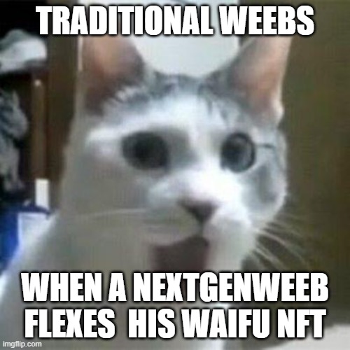 Shocked Weeb | TRADITIONAL WEEBS; WHEN A NEXTGENWEEB FLEXES  HIS WAIFU NFT | image tagged in shocked cat,nextgenwaifus | made w/ Imgflip meme maker