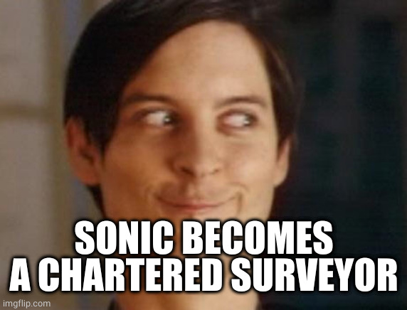 Spiderman Peter Parker Meme | SONIC BECOMES A CHARTERED SURVEYOR | image tagged in memes,spiderman peter parker | made w/ Imgflip meme maker