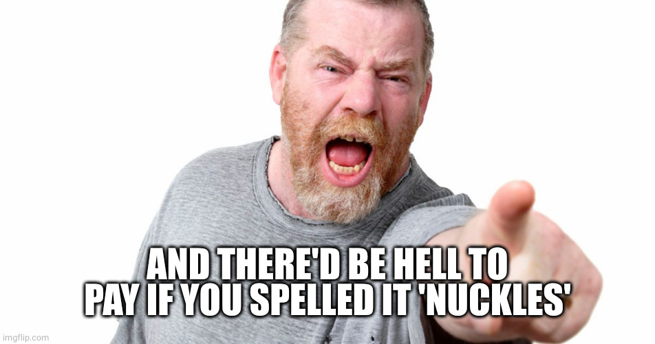 angry man shouting and pointing | AND THERE'D BE HELL TO PAY IF YOU SPELLED IT 'NUCKLES' | image tagged in angry man shouting and pointing | made w/ Imgflip meme maker