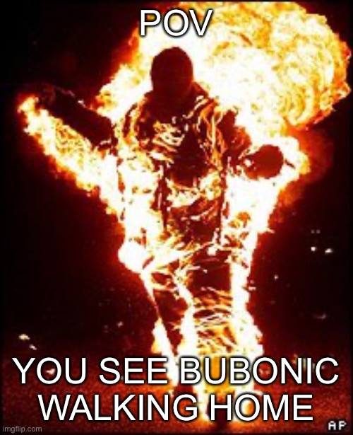 Burning Man | POV YOU SEE BUBONIC WALKING HOME | image tagged in burning man | made w/ Imgflip meme maker